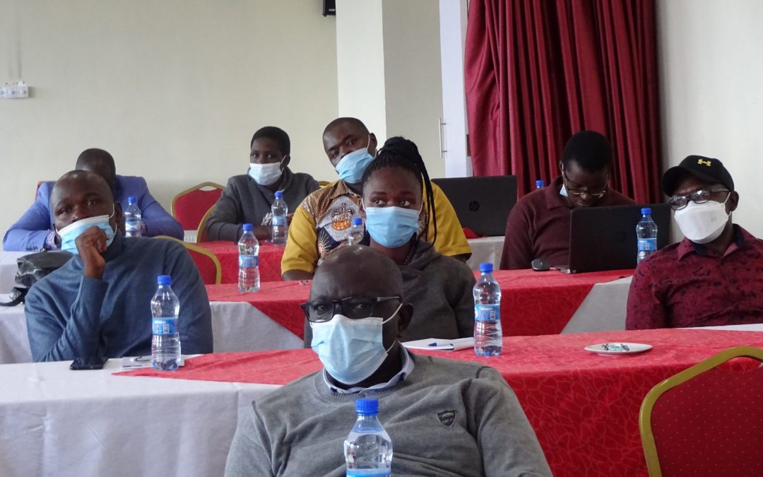 GENDER SECTOR WORKING GROUPS