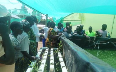 FINGERLING PRODUCTION